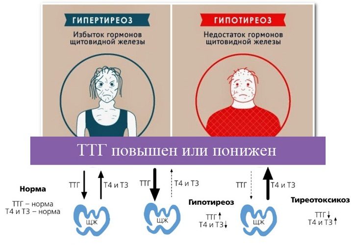 О нормах