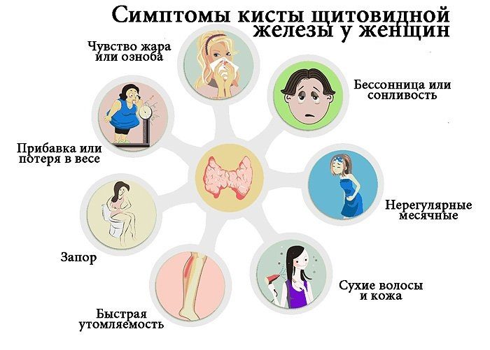 У женщин