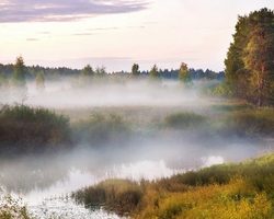 Как образуется туман: коротко для детей