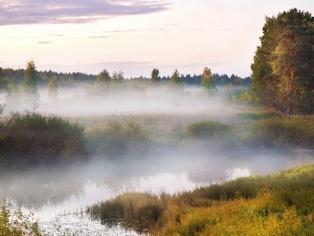 Как образуется туман: коротко для детей
