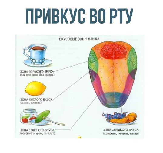 Вкусовые зоны языка