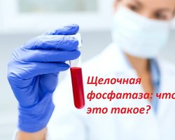 Щелочная фосфатаза в анализе крови: что это значит, какая норма у здоровых мужчин, женщин, беременных, детей, после 50 лет?