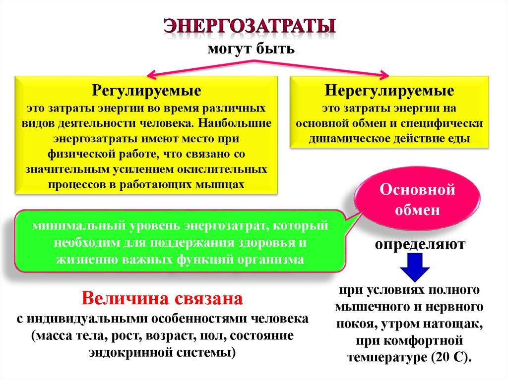Какие у вас энергозатраты?