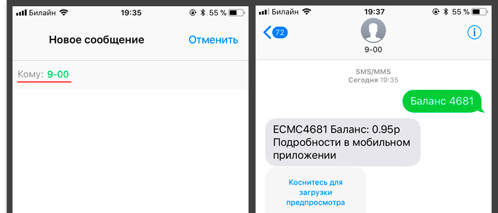 В ответном сообщение вы увидите баланс карточки