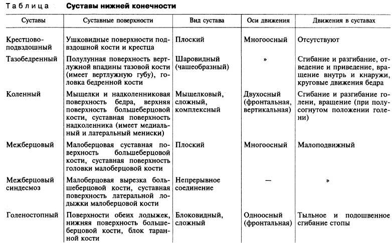 Таблица строения суставов с функциями