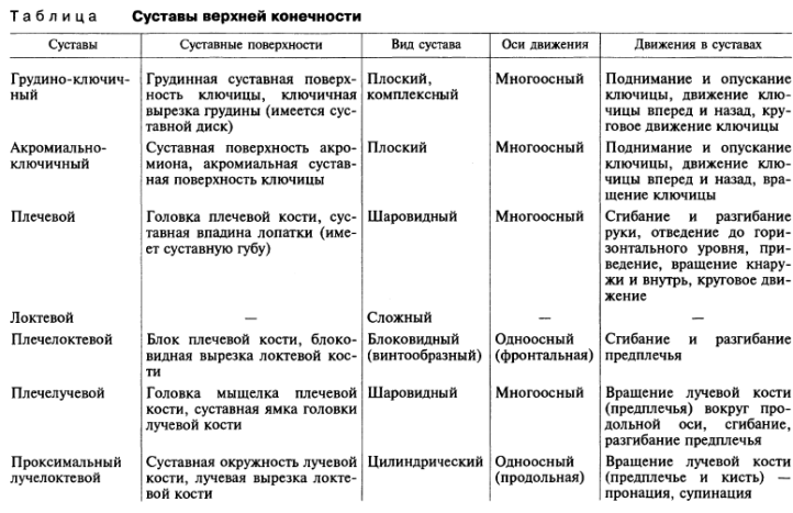 Таблица строения суставов с функциями