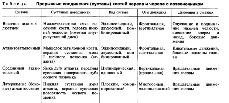 Таблица строения суставов с функциями