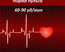 Какой пульс считается нормальным у женщин, мужчин и детей: норма по возрастам