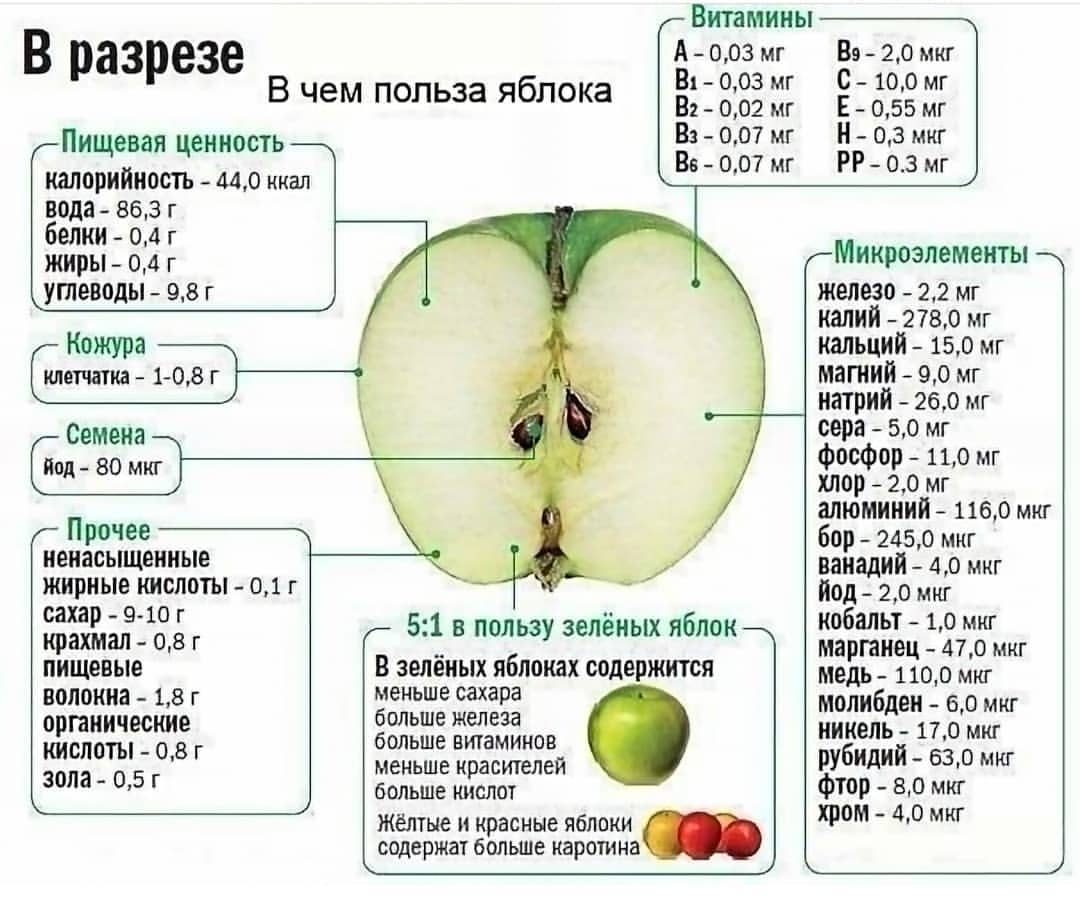 Полезно ли есть яблоки на ночь, если худеешь?