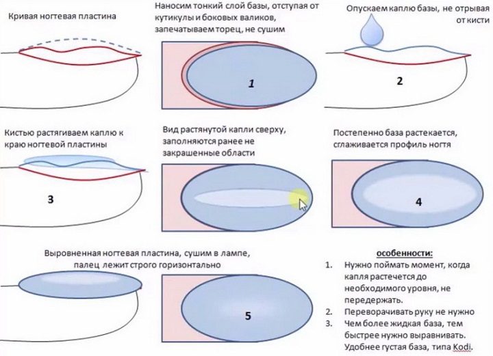 Алгоритм