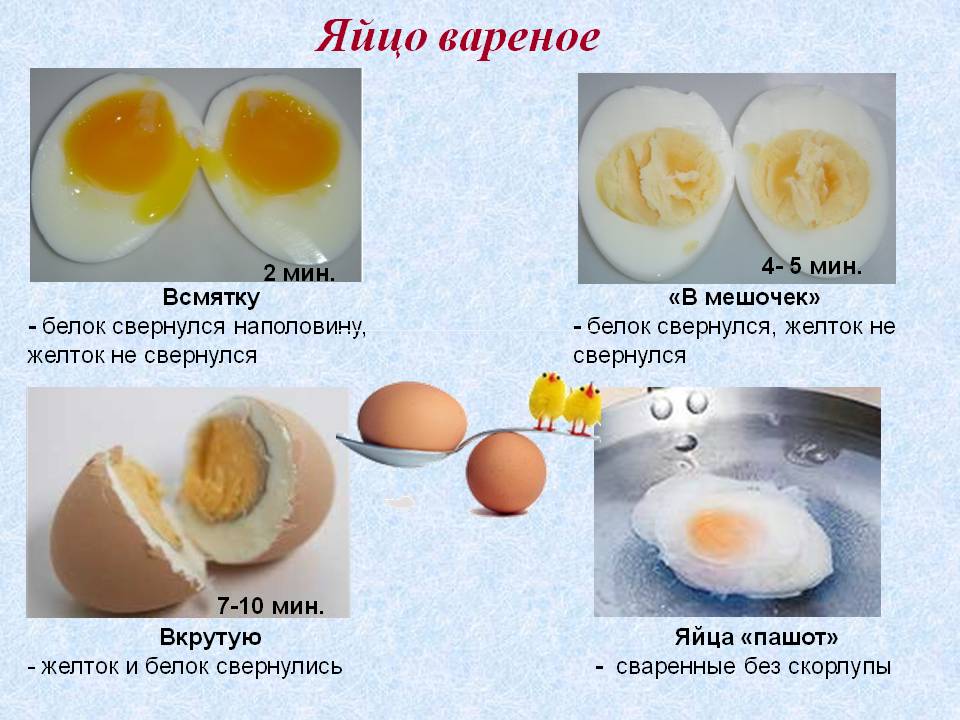 Варианты приготовления яиц
