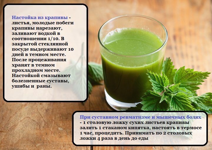 Рецепты