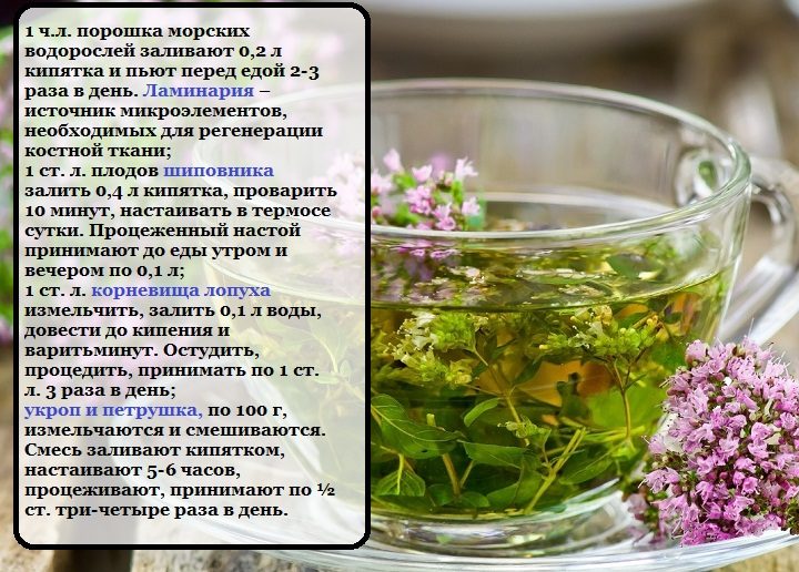 Рецепты