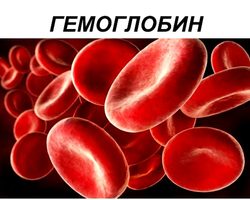 Норма гемоглобина в крови у женщин и мужчин после 50 лет. Повышение и понижение гемоглобина в крови, основные симптомы