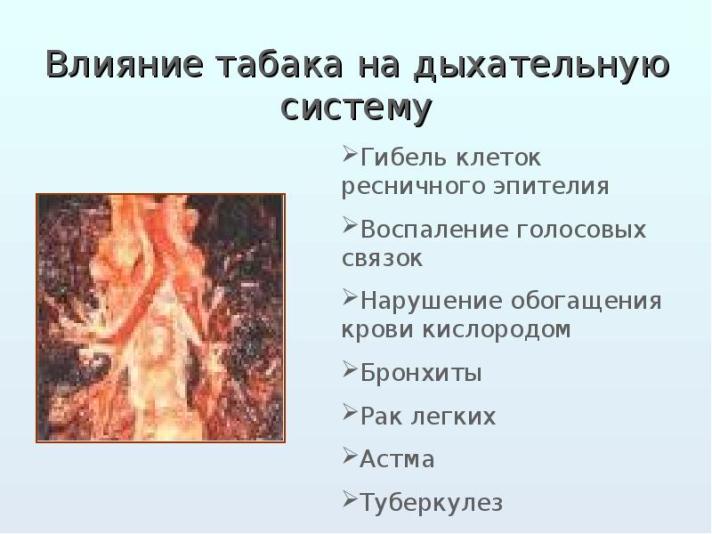 Влияние никотина, курения на дыхательную систему