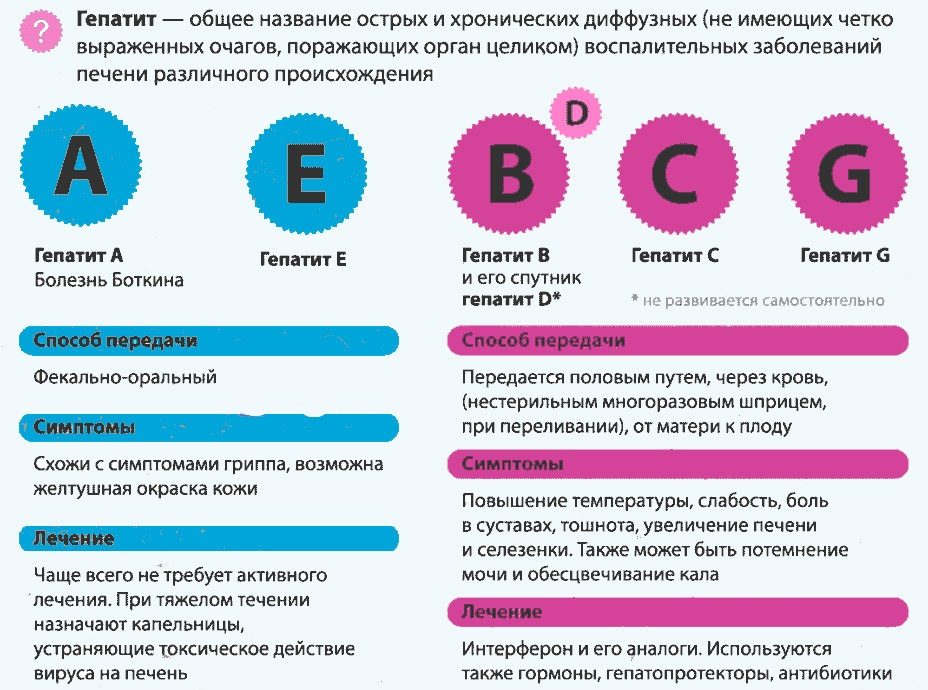 Сводная