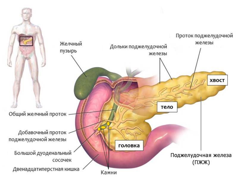Расположение