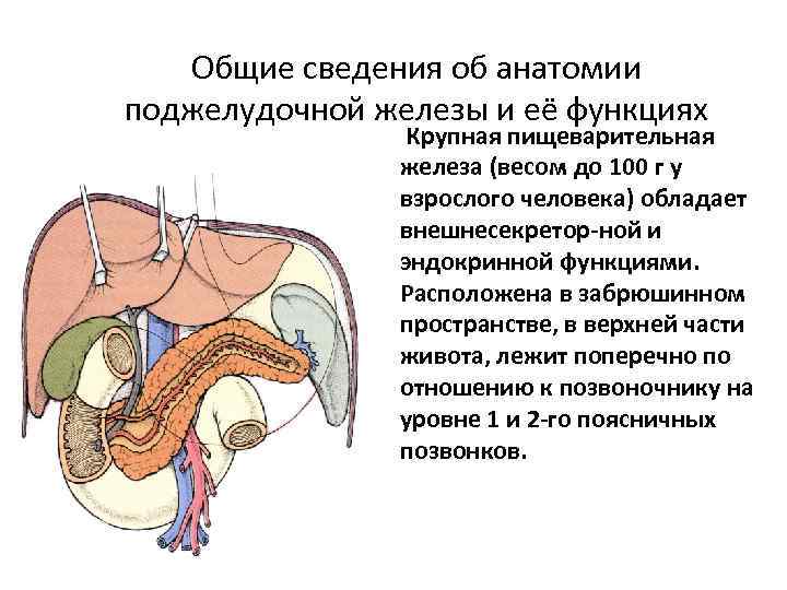 Общее