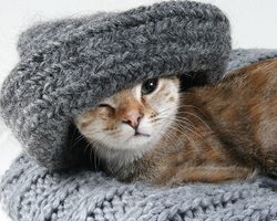 Что можно сделать из старых свитеров своими руками: идеи, советы, выкройки, фото
