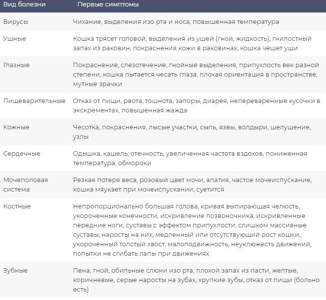 Симптомы и вид
