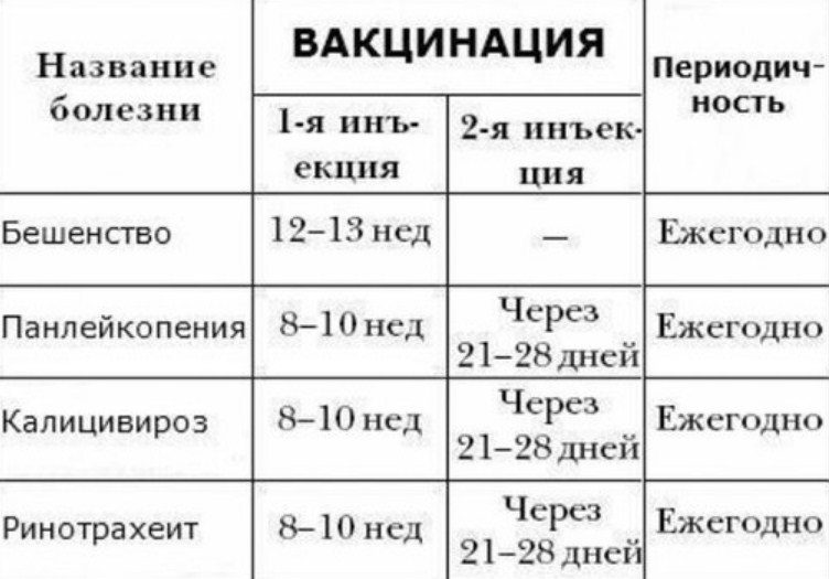 Схема