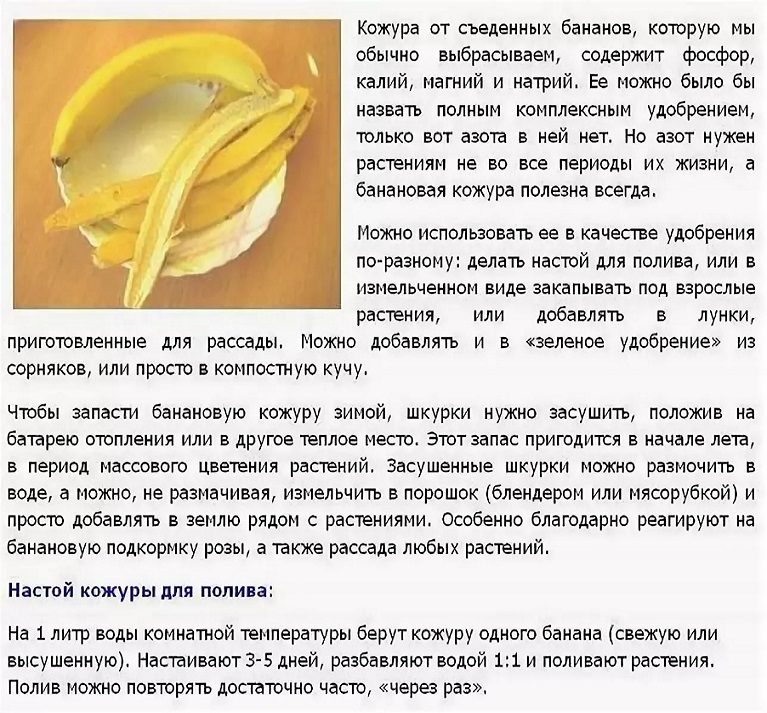 Применение банановой кожуры для подкормки растений