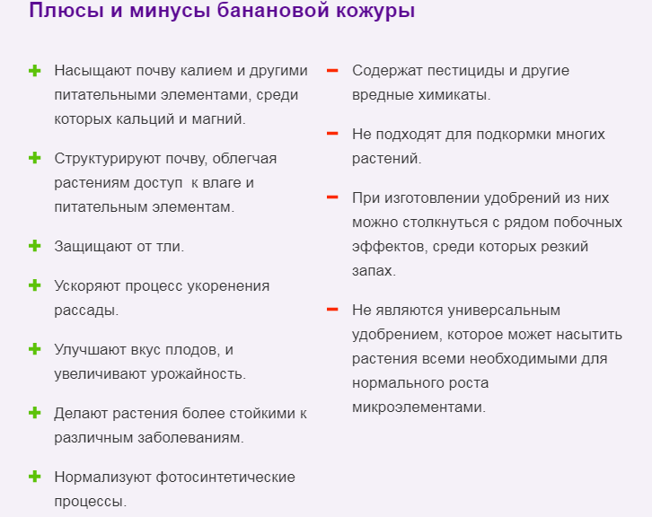 Плюсы и минусы удобрений из кожуры банана