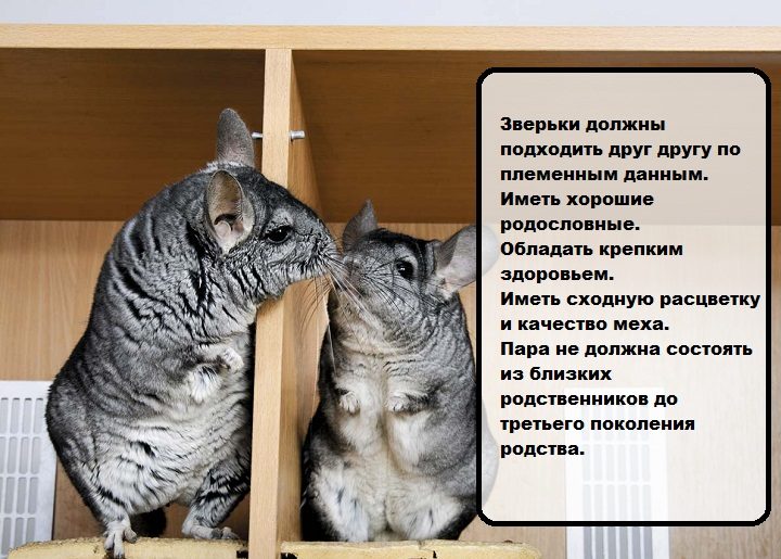 Требования