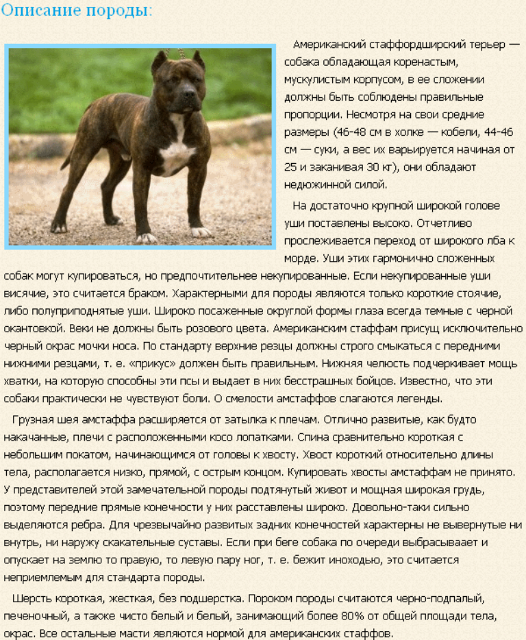 Кратко