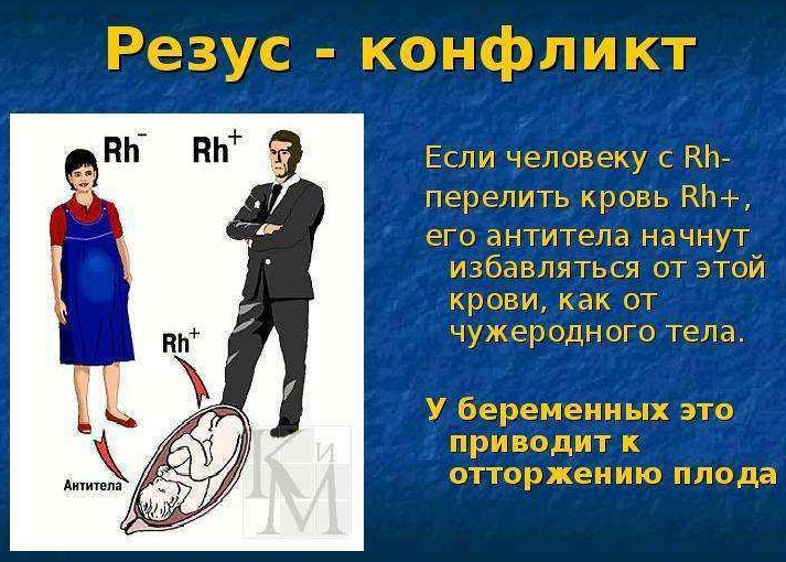 Изображение 3. что такое резус-конфликт?