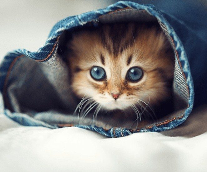 Смотрите за носиком