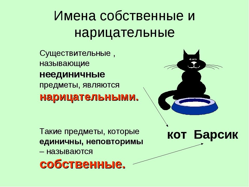 Существительные имена собственные и нарицательные