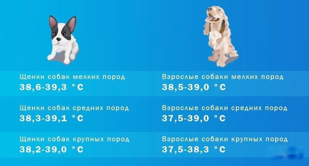 По категориям