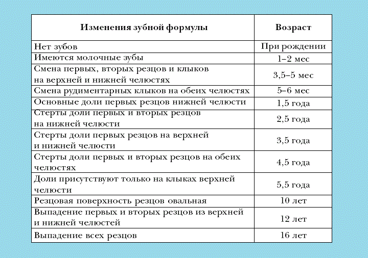 Таблица смены зубов