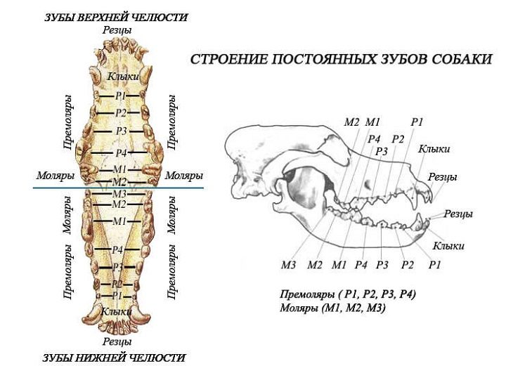 Схема