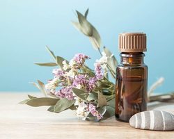 16 лучших косметических масел, которые больше всего полезны для кожи лица: названия, рекомендациями по применению. Как правильно смешивать косметические масла для лица?