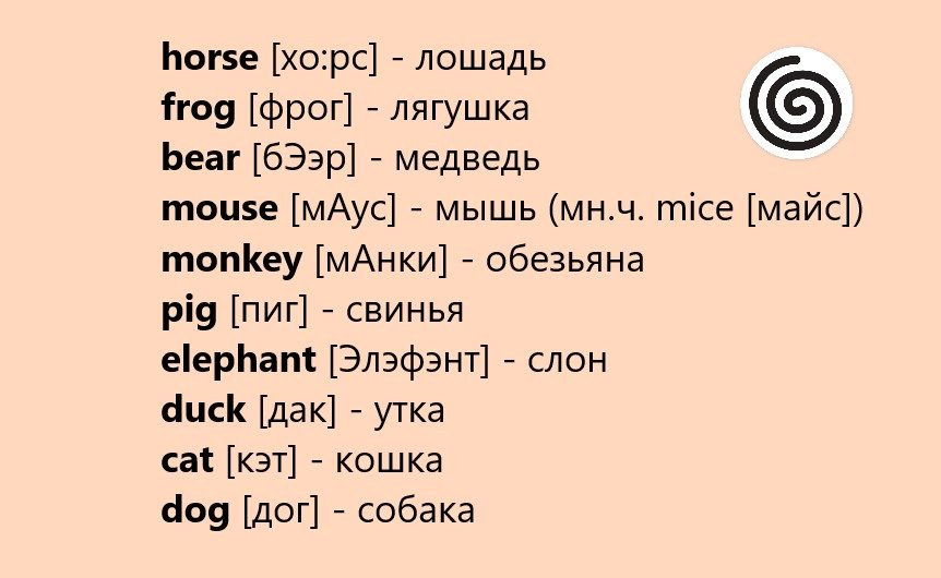 Самые необходимые слова темы