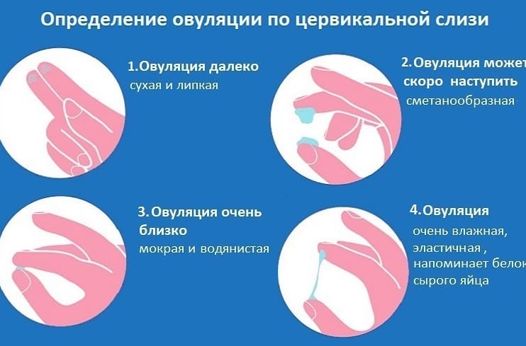 По слизи