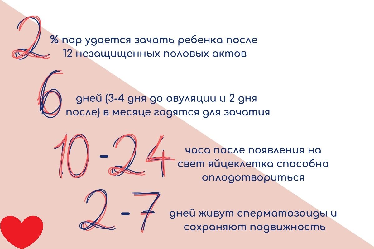 В цифрах