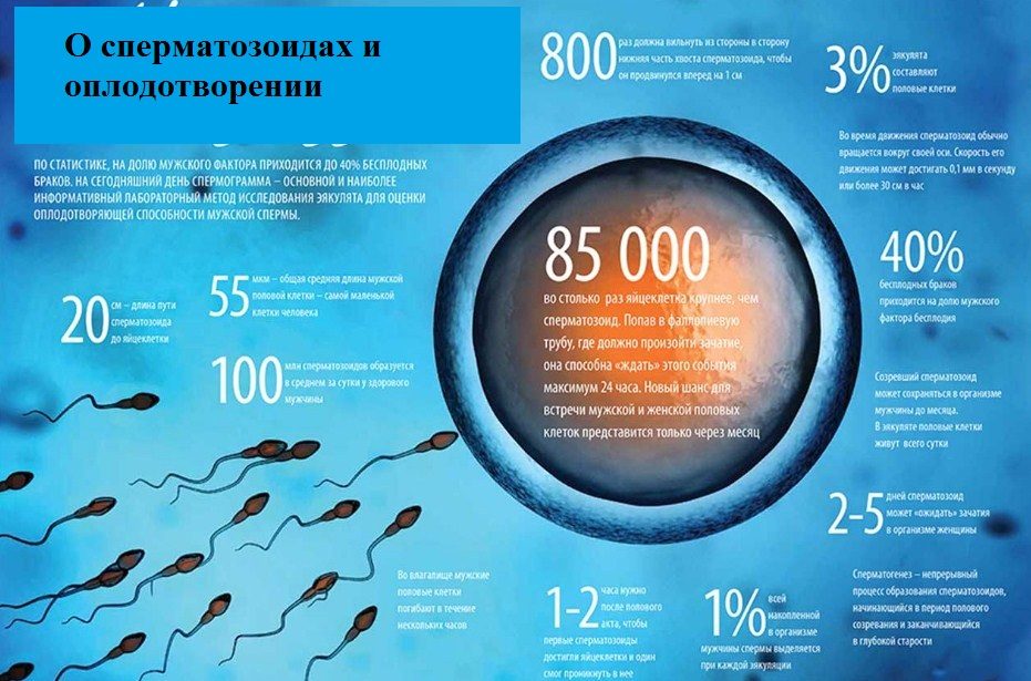 Занятная информация