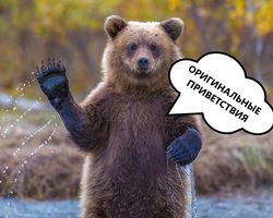 Оригинальные, необычные приветствия при встрече, на все случаи жизни: список приветственных слов и фраз, примеры