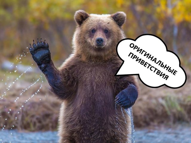 Оригинальные, необычные приветствия при встрече, на все случаи жизни: список приветственных слов и фраз, примеры