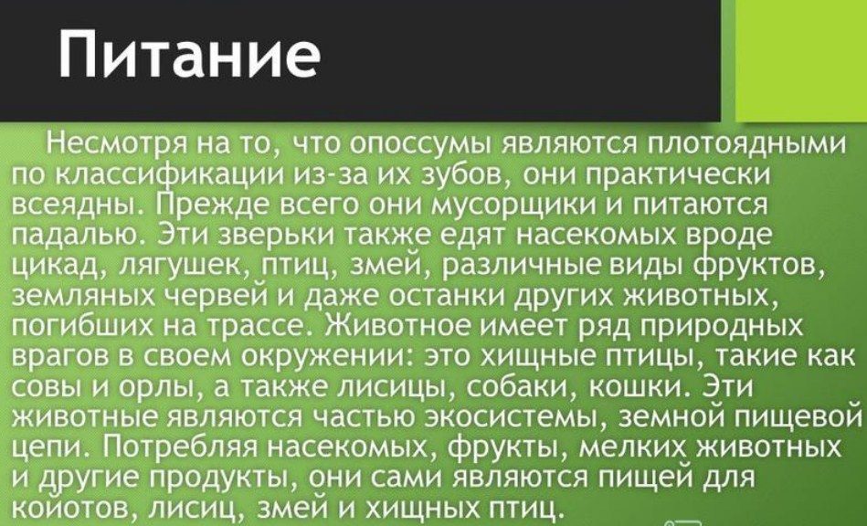 Питаются