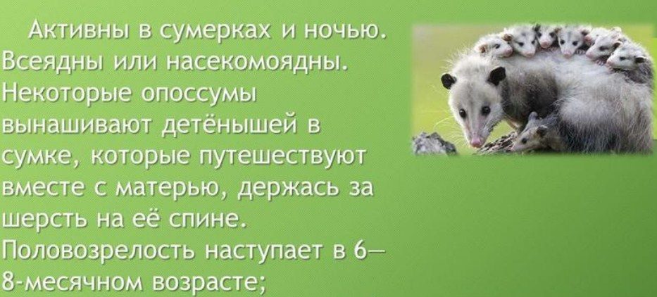 Характеристика