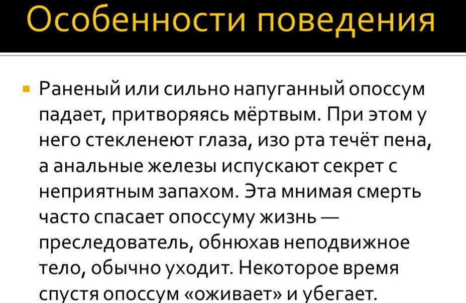 Интересная особенность