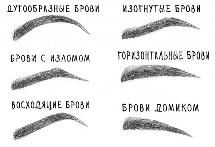 Схематическое изображение формы бровей