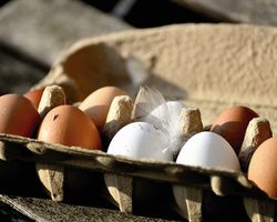 Яичная скорлупа, как источник кальция для взрослых и детей: польза и вред, как приготовить для употребления внутрь, как принимать?