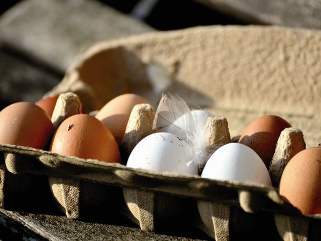 Яичная скорлупа, как источник кальция для взрослых и детей: польза и вред, как приготовить для употребления внутрь, как принимать?