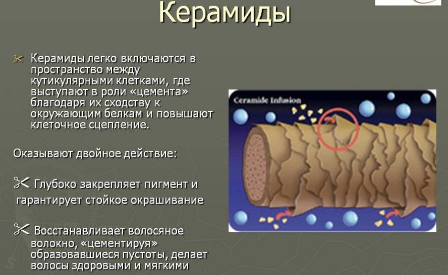 Что делают керамиды