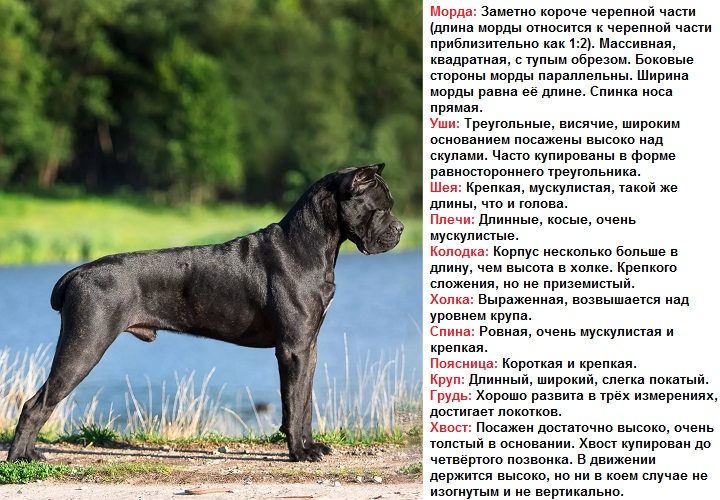 Описание